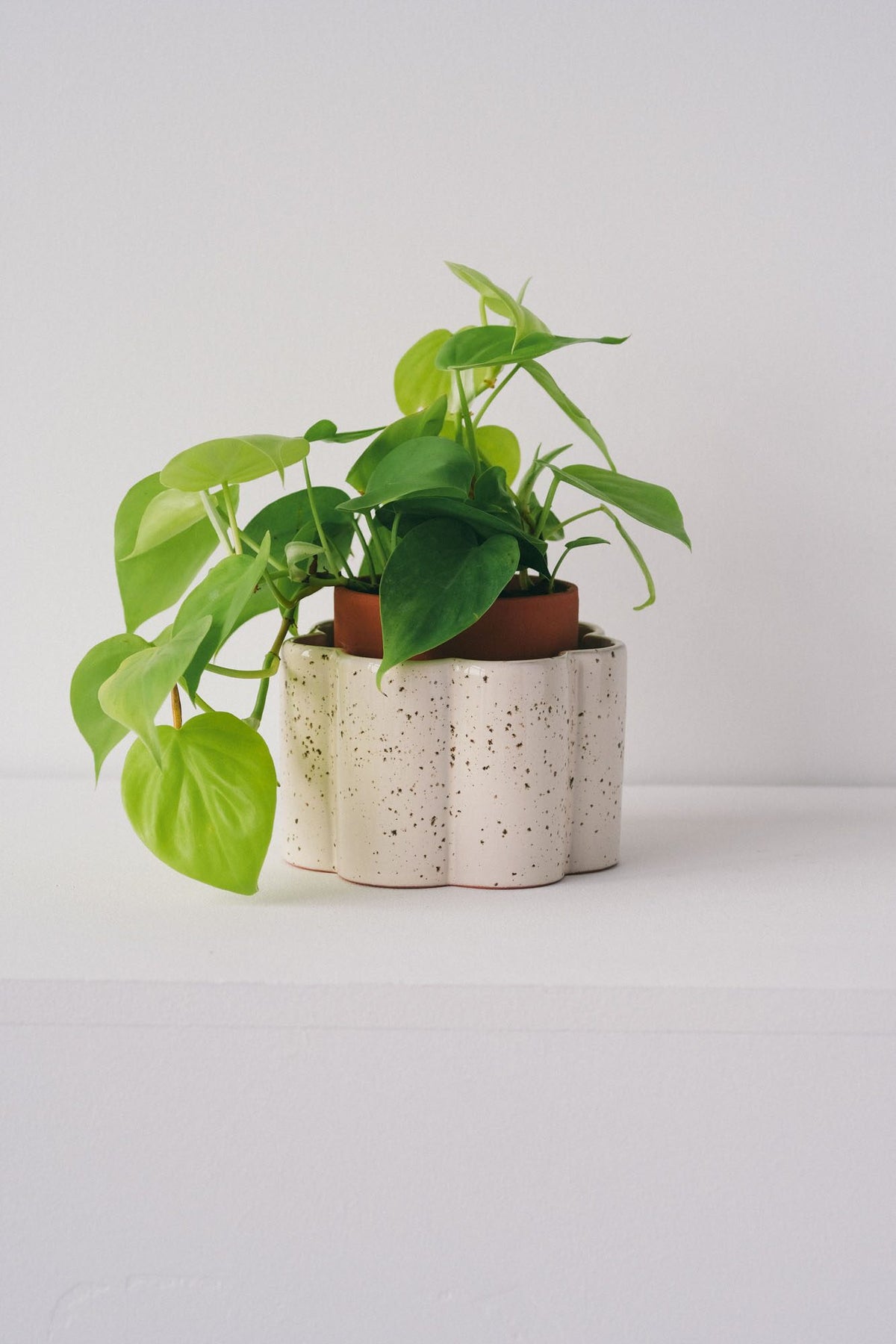 Speckled white Pepin Paulita self-watering pot with a houseplant