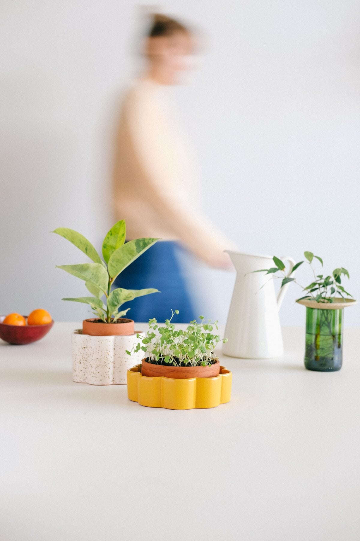 Pepin Paulita self-watering pots with houseplants on a table at home