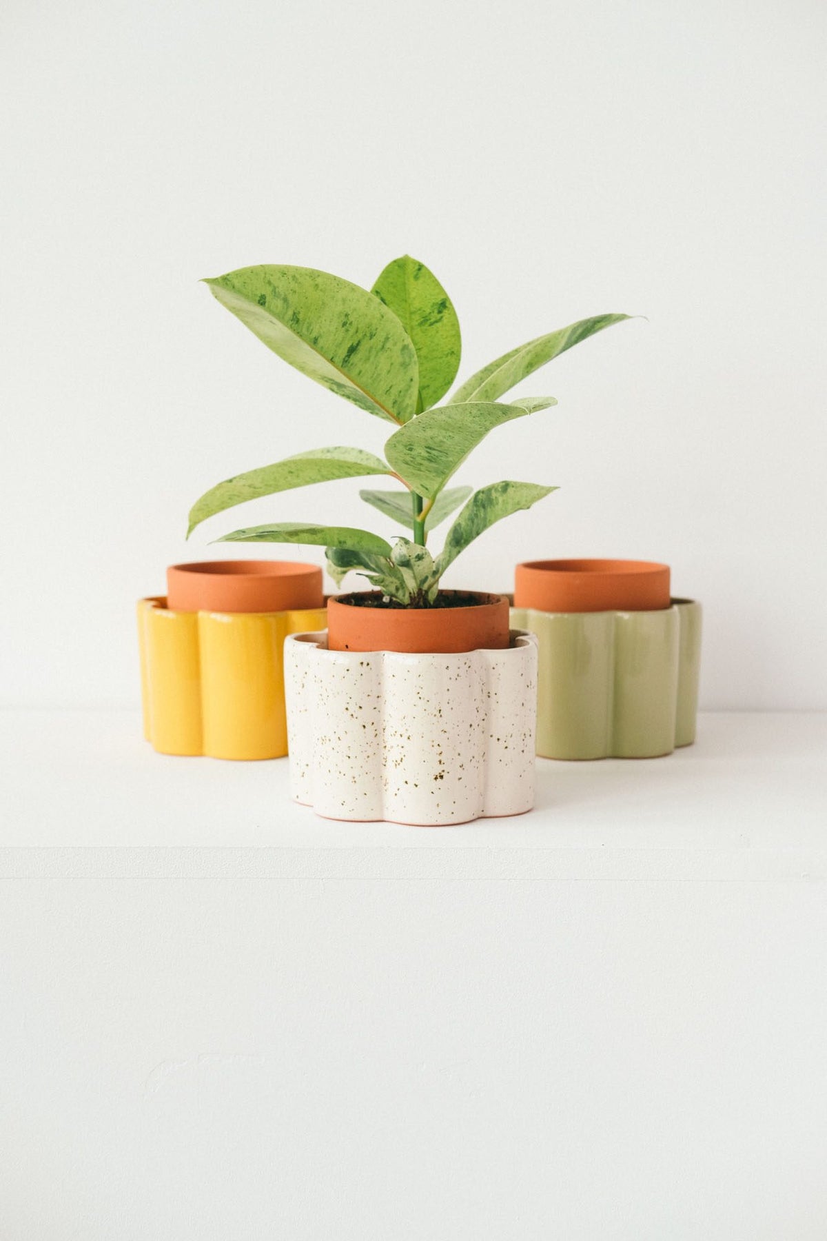 Three Pepin Paulita self-watering pots in mustard yellow, speckled white and sage green
