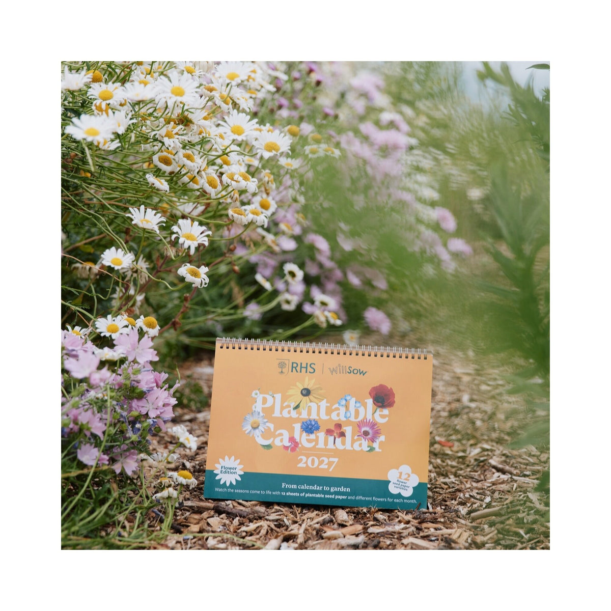 RHS & Willsow A4 Plantable Flower Desk Calendar 2027 standing among garden flowers
