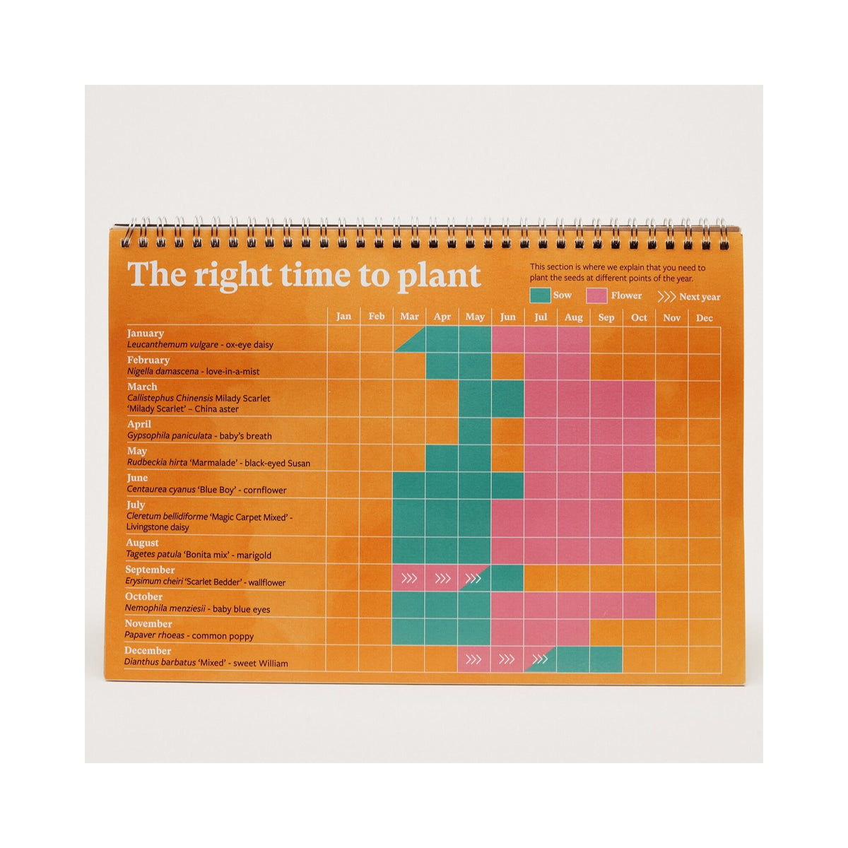 RHS & Willsow 2027 Flower Desk Calendar 'The right time to plant' sowing chart