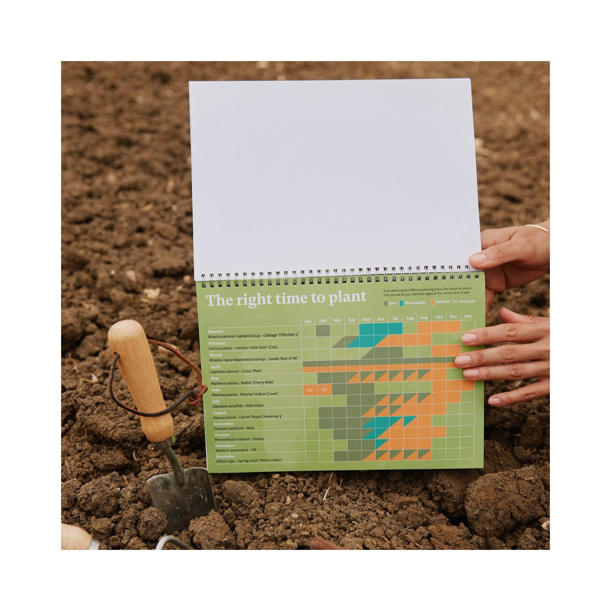 RHS & Willsow 2027 Veg & Herb Desk Calendar 'The right time to plant' chart