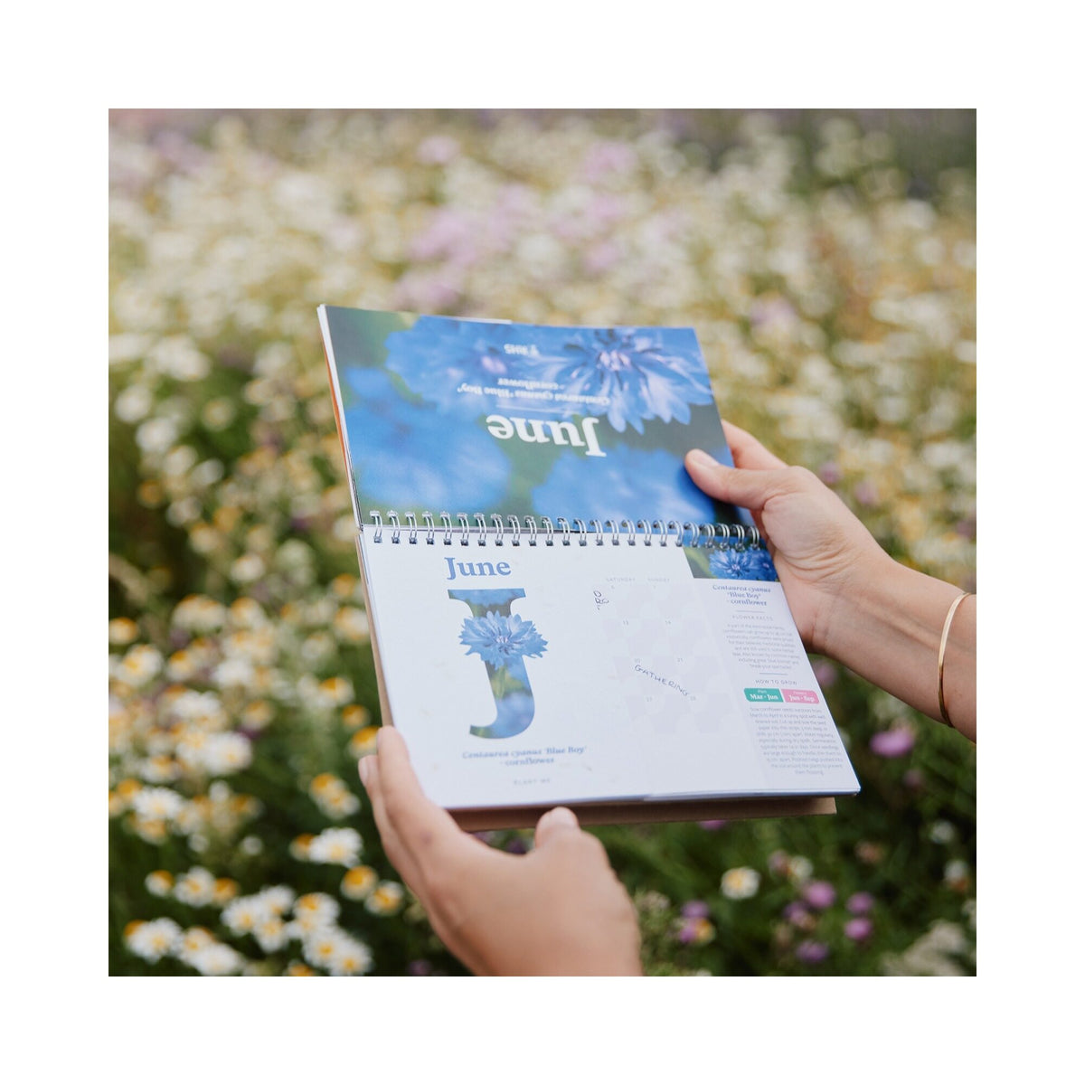 RHS & Willsow A5 2027 Flower Desk Calendar held among flowers