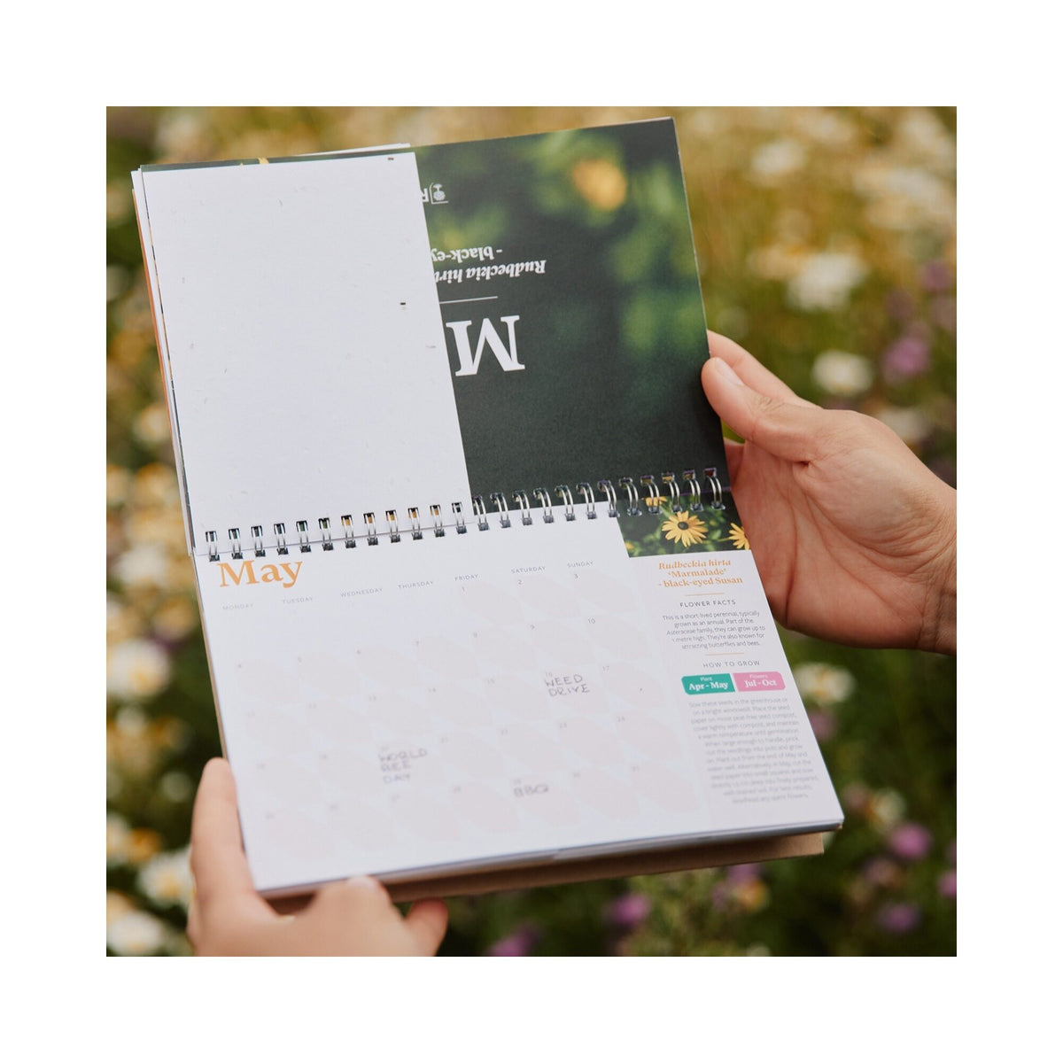 RHS & Willsow 2027 Flower Desk Calendar month-to-view page