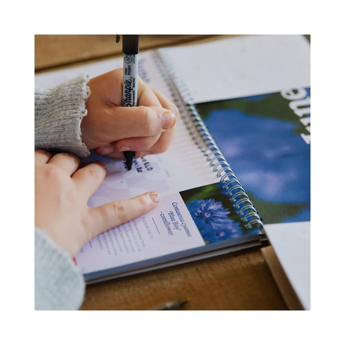 Writing notes on the RHS & Willsow 2027 Flower Desk Calendar