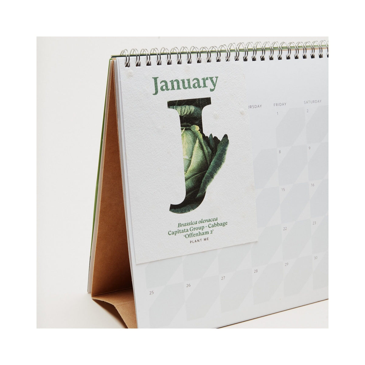 RHS & Willsow 2027 Veg & Herb Desk Calendar January page on its easel