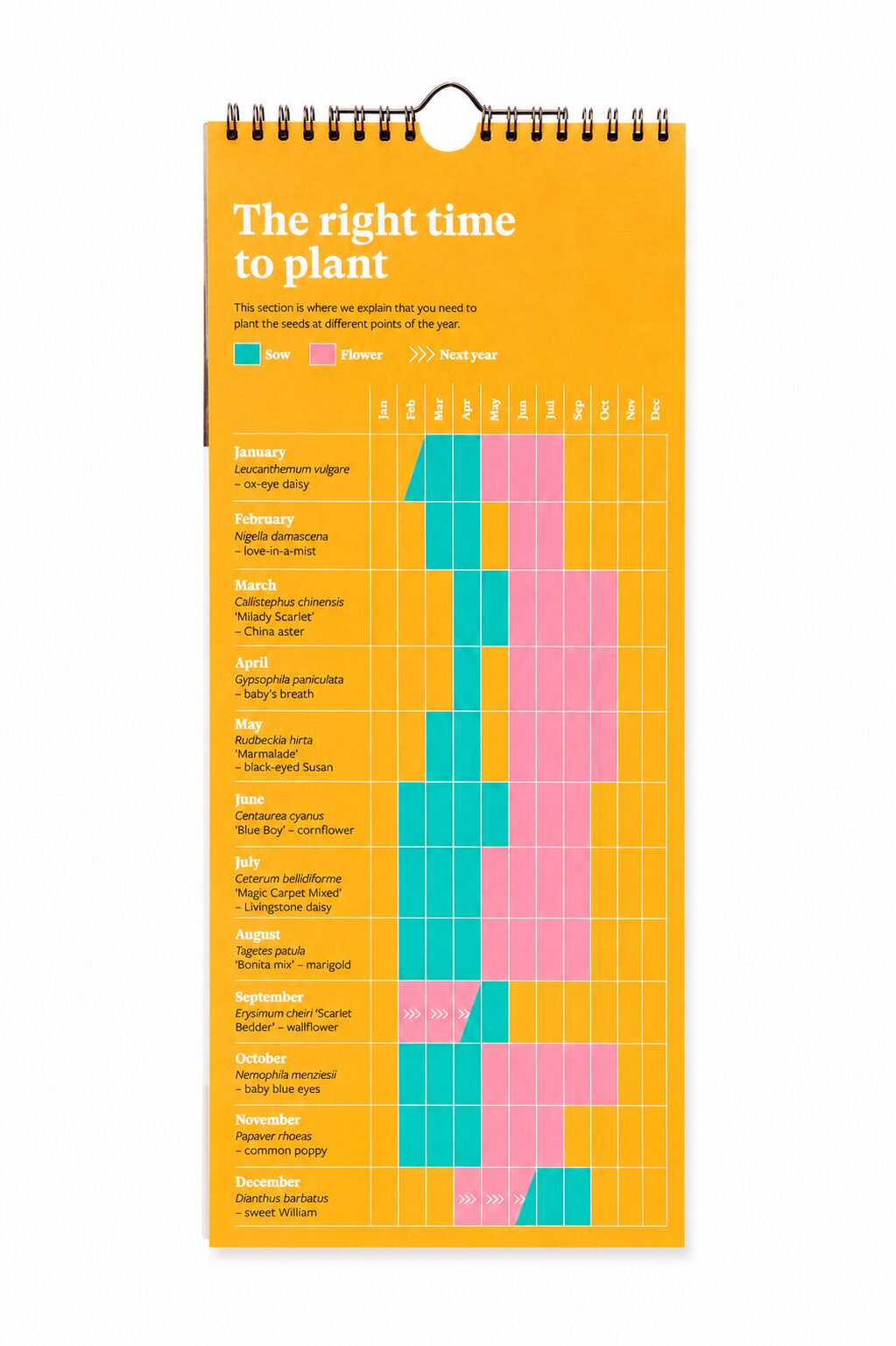 RHS & Willsow 2027 Flower Wall Calendar 'The right time to plant' chart