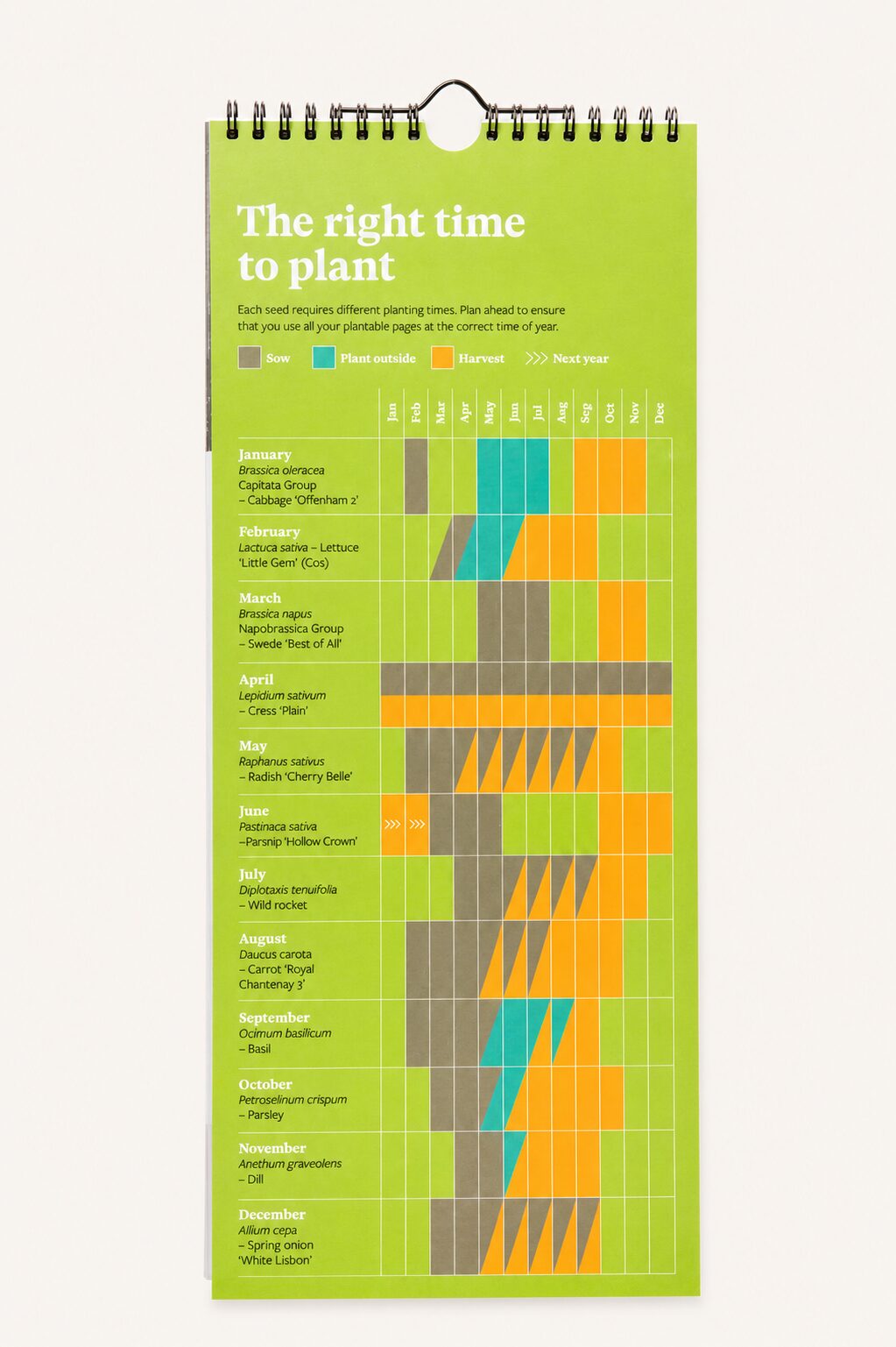 RHS & Willsow 2027 Veg & Herb Wall Calendar 'The right time to plant' chart