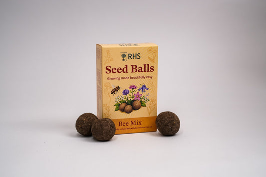 RHS & Willsow Seed Balls Bee Mix box with three peat-free seed balls