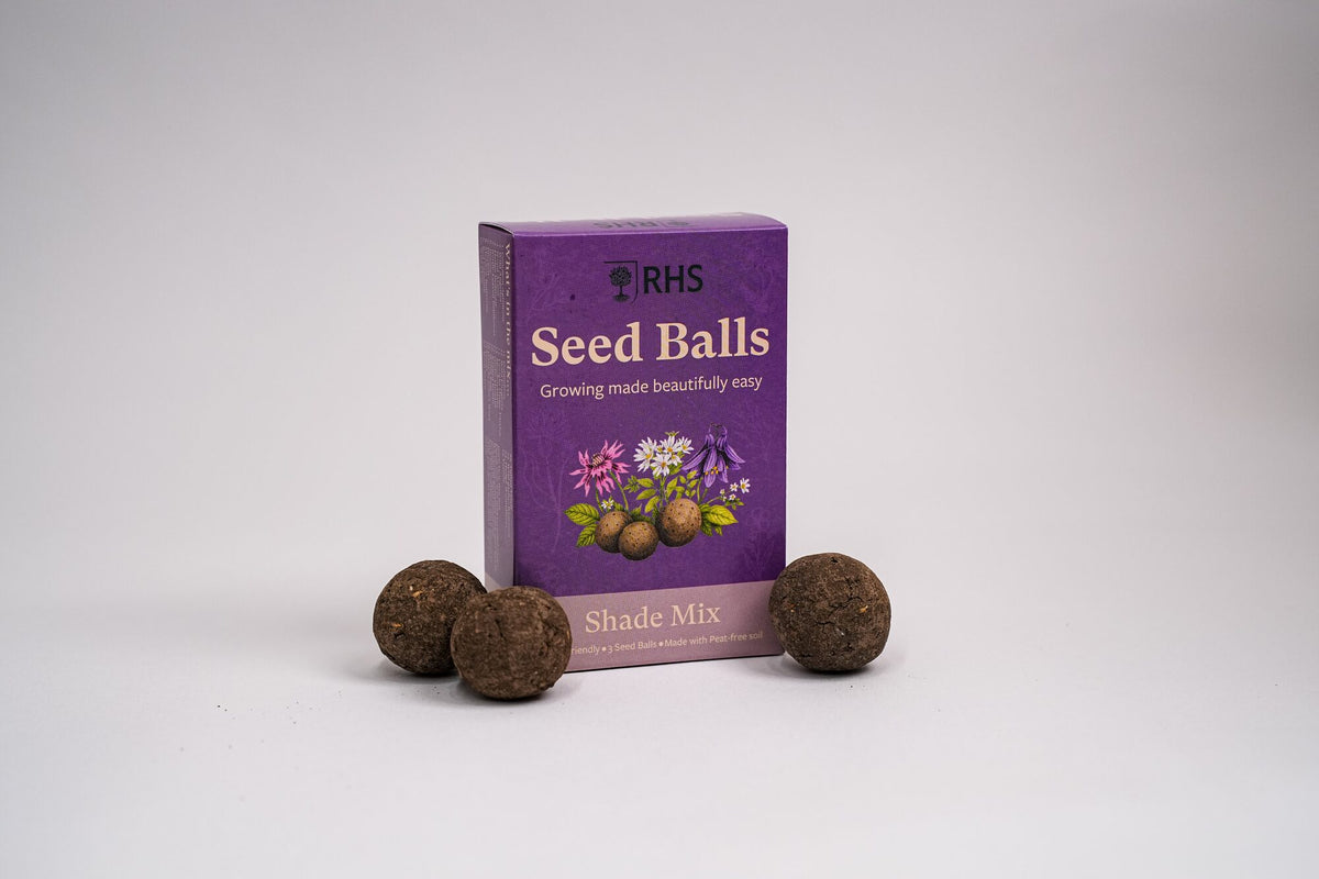 RHS & Willsow Seed Balls Shade Mix box with three peat-free seed balls
