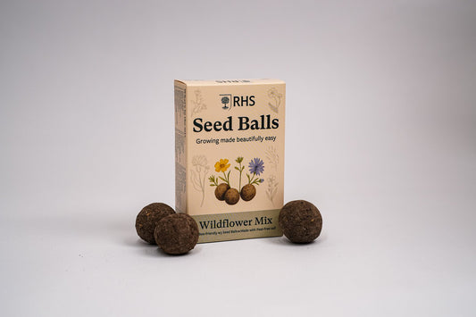 RHS & Willsow Seed Balls Wildflower Mix box with three peat-free seed balls