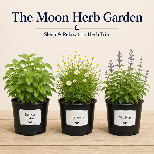 The Moon Herb Garden - Herb Gardens Sleep & Relaxation Herb Trio