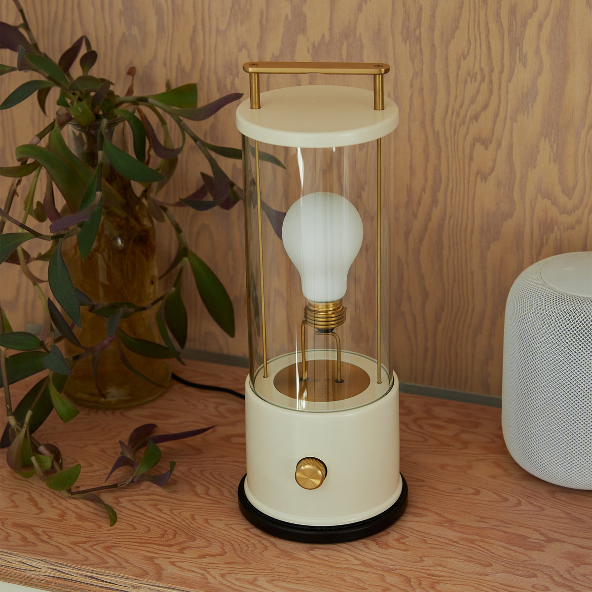 The Muse 1.0 Portable Lamp in Candlenut White Bundle