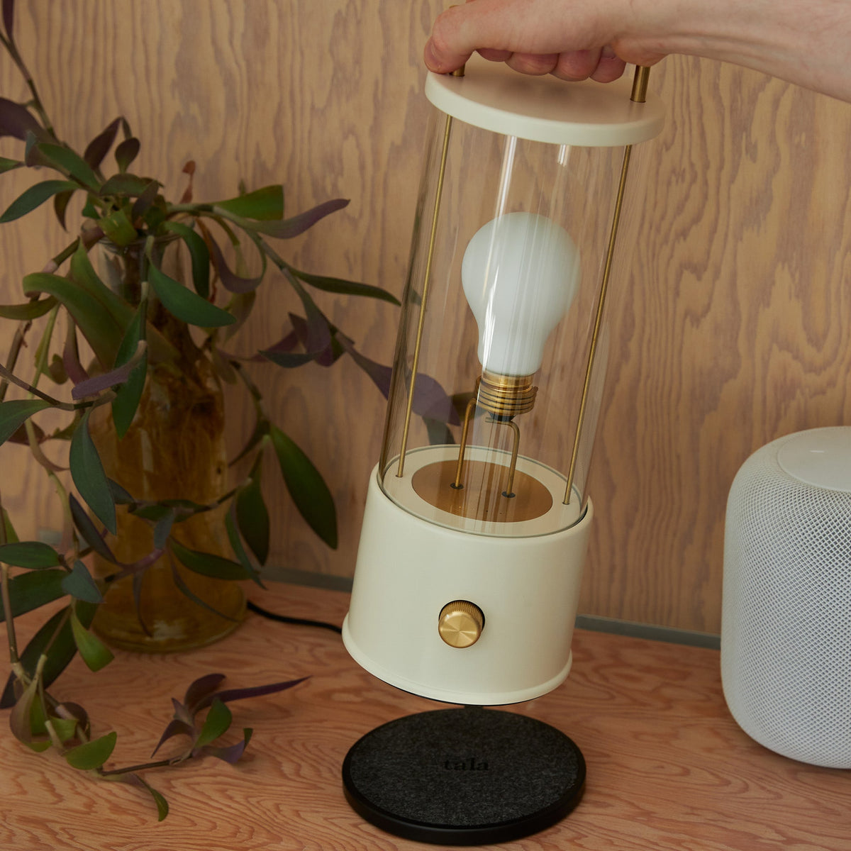 The Muse 1.0 Portable Lamp in Candlenut White Bundle