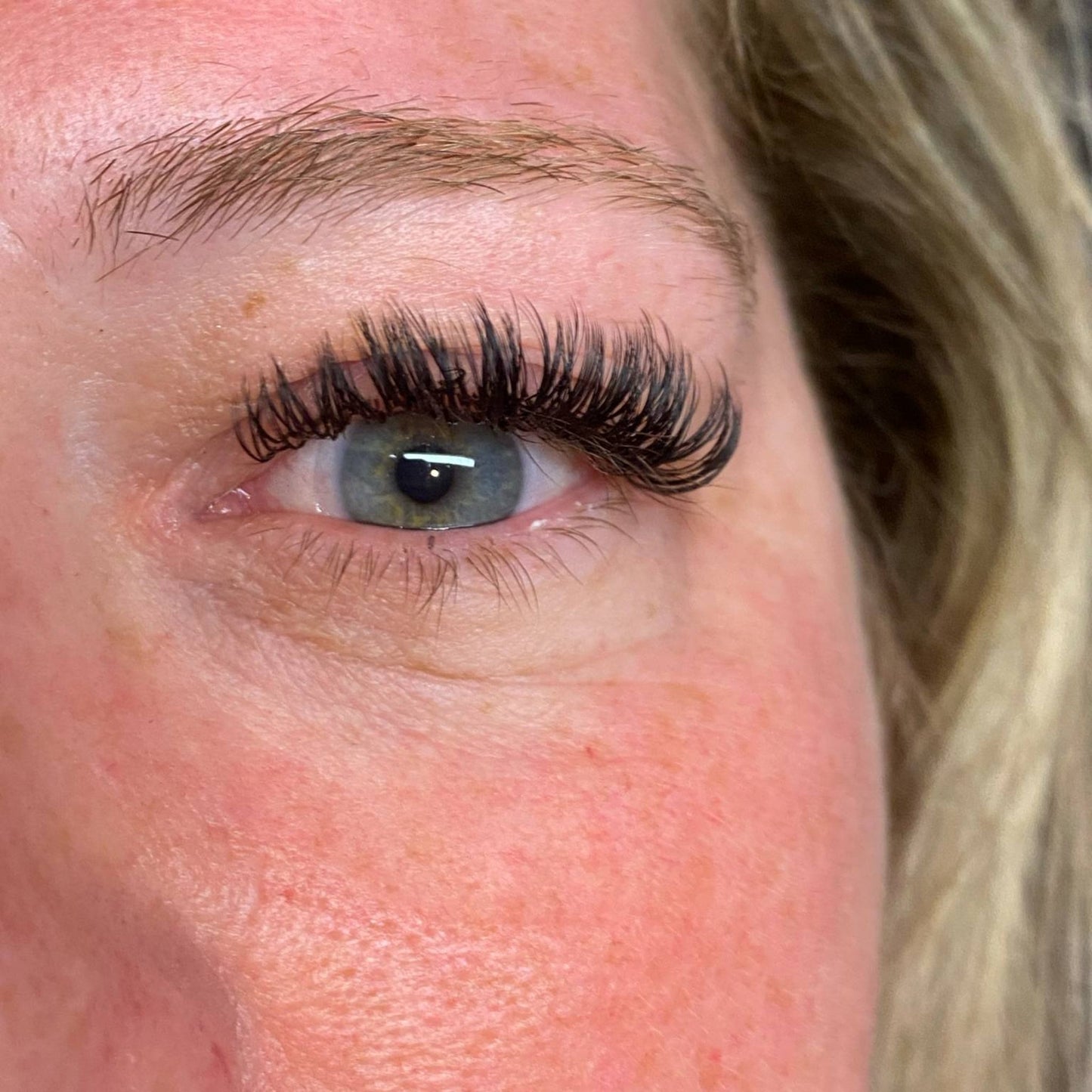 Premade Angel Lashes – 5D Closed Fans | 5 Row Tray