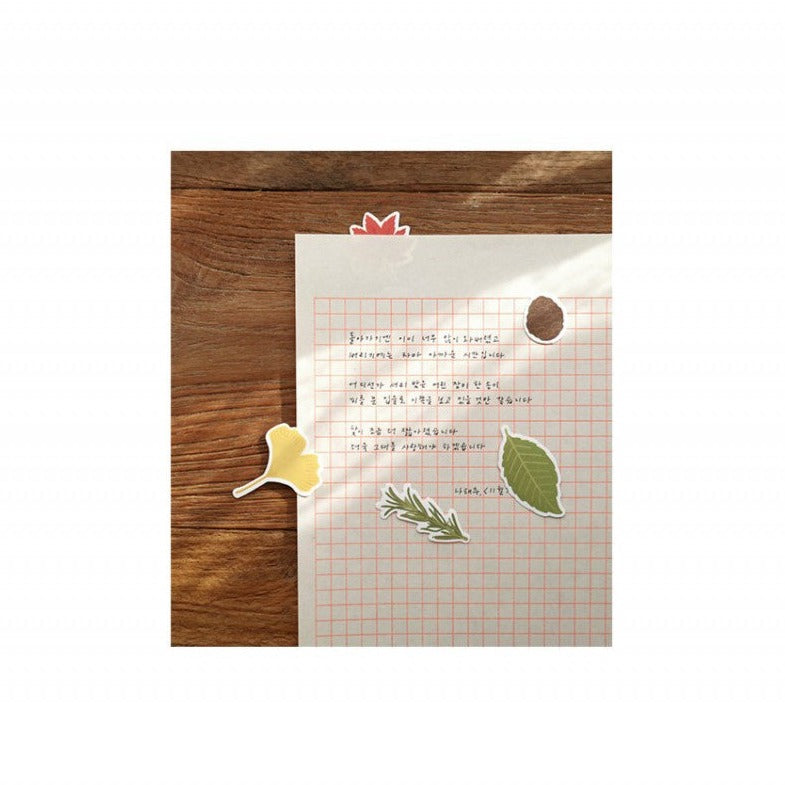 Suatelier | Leaves