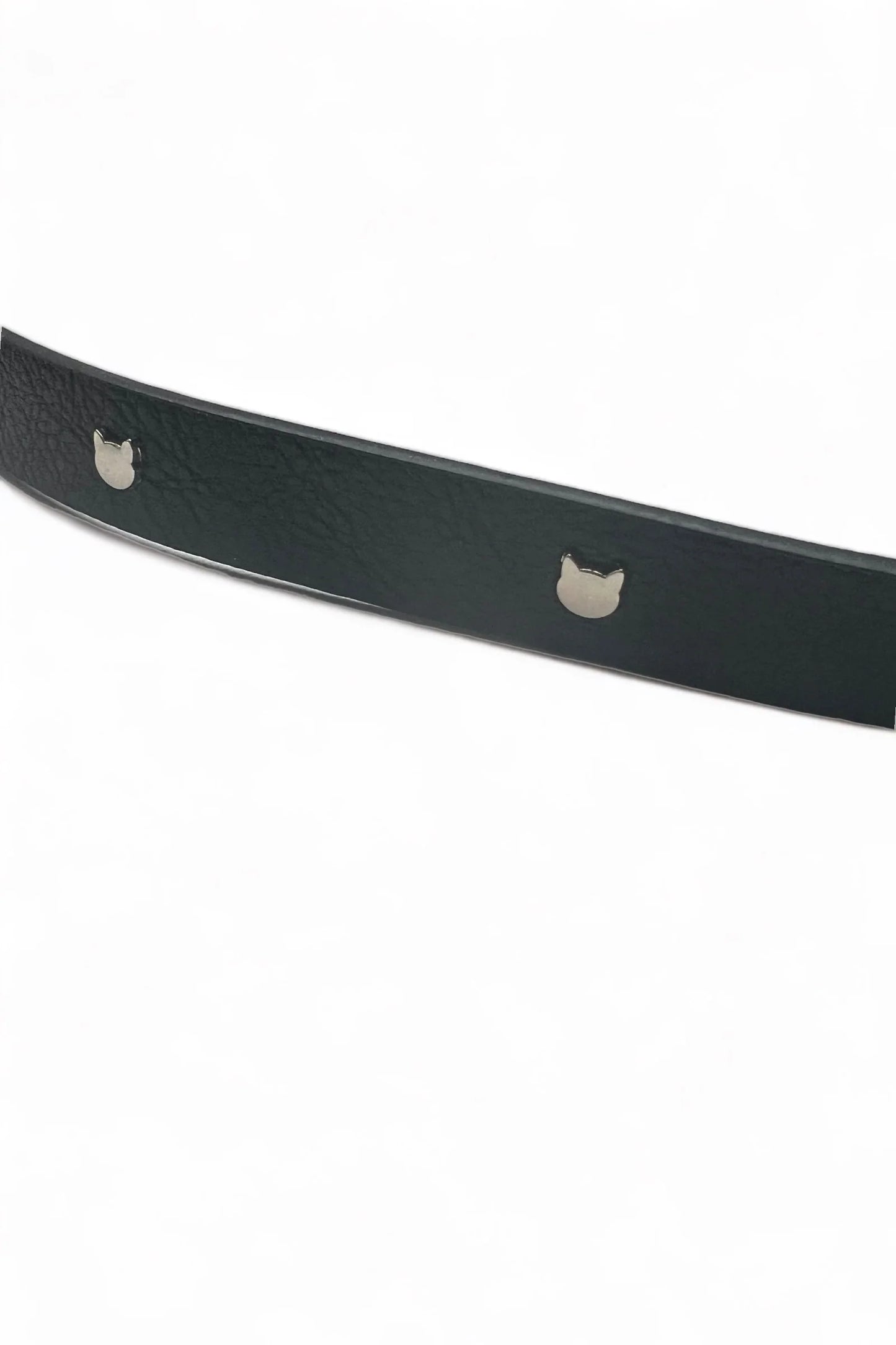 Wilma Cat Stud Black Belt