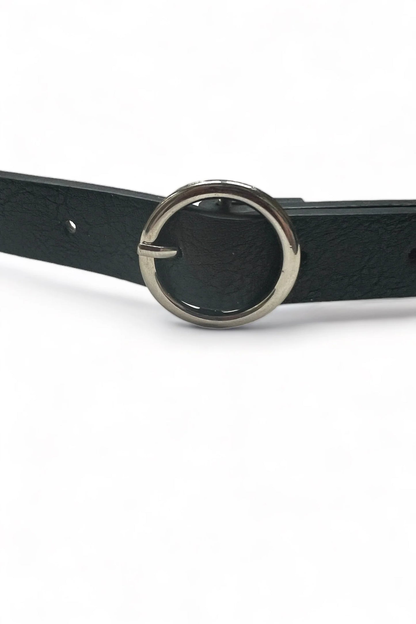 Wilma Cat Stud Black Belt