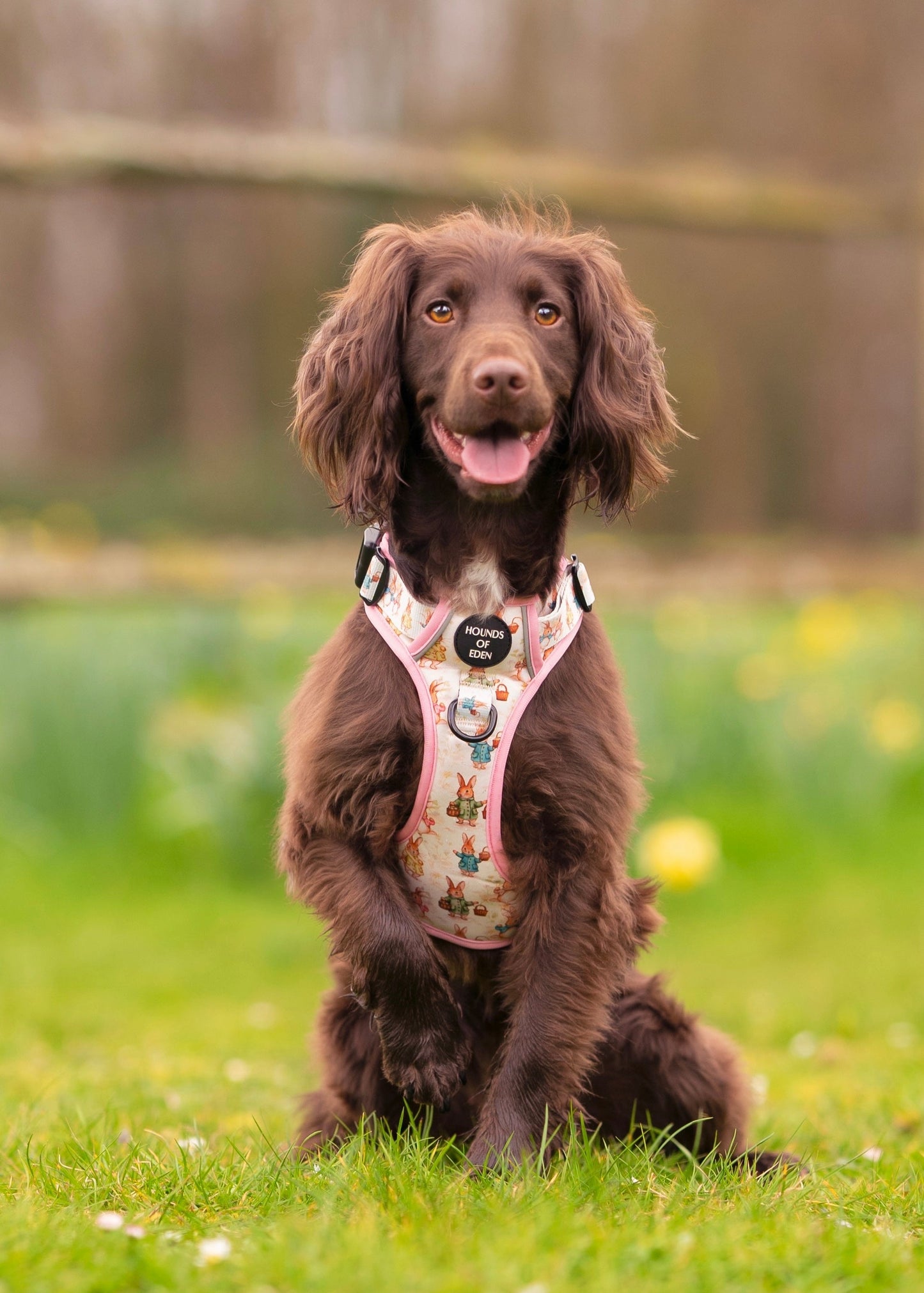 Bunny Tales - Pink, Dog Supaw Strong™ Lite Harness (XS-XL)