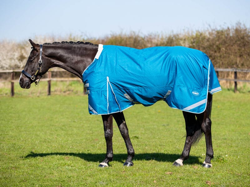 300g Turnout Rug With Detachable Neck - Turquoise