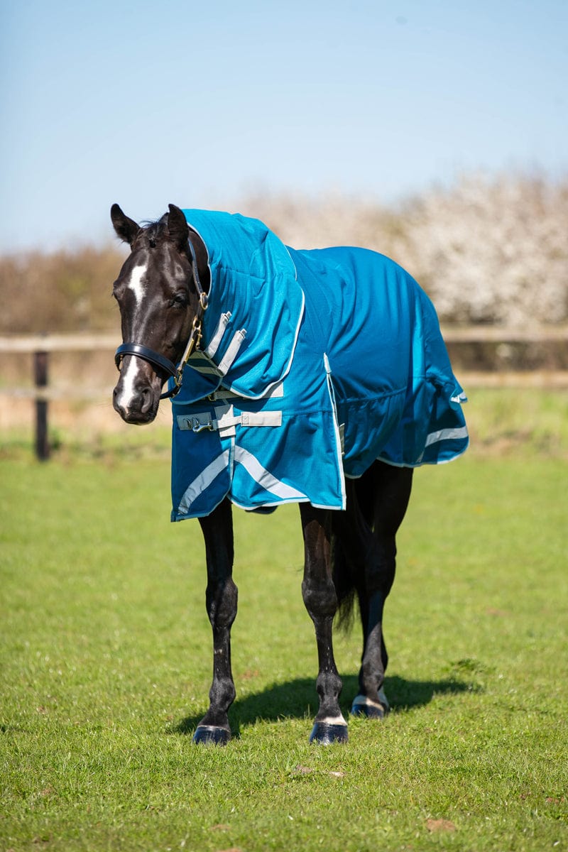 0g Detachable Neck Turnout Rug - Turquoise