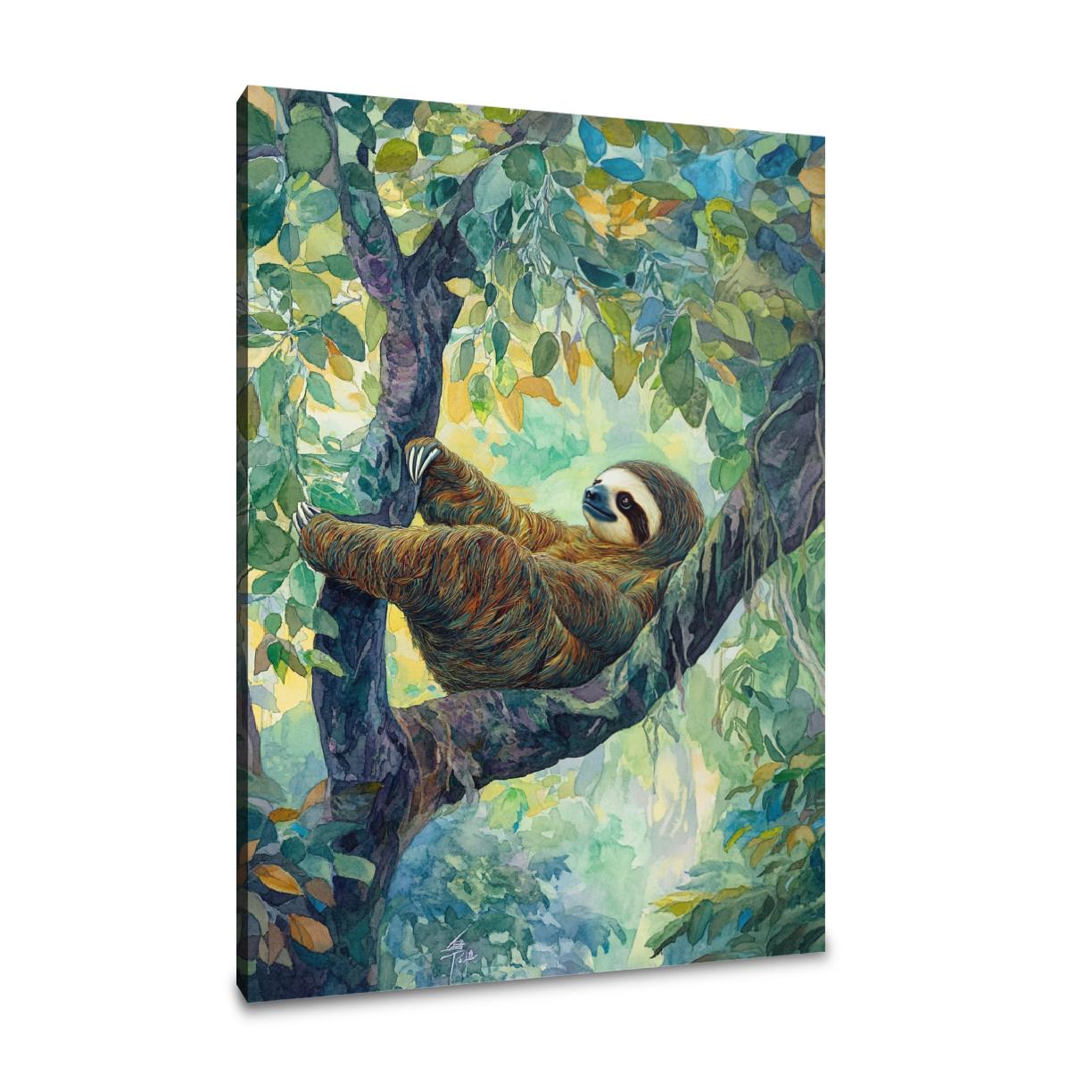 Languorous Sloth Canvas