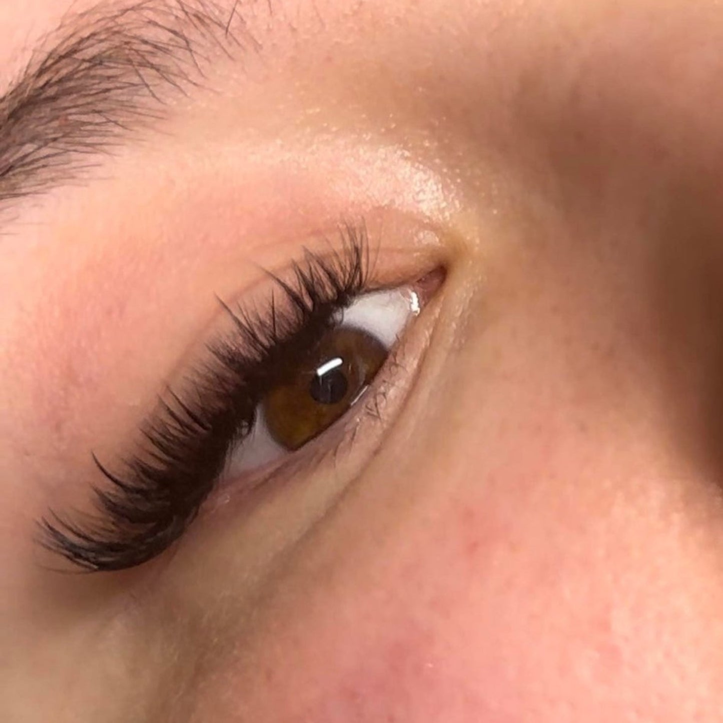 Wet Lash Sample Tray 5 Rows