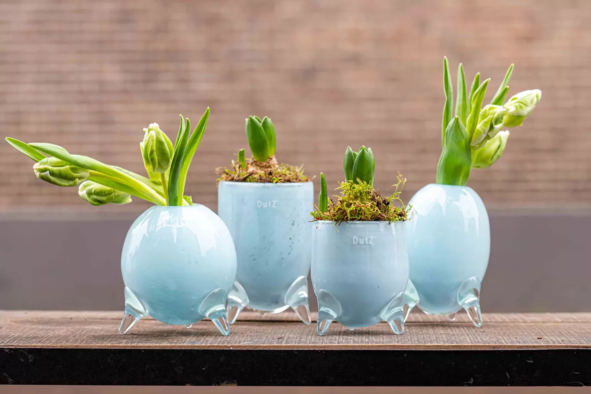 EVITA Mouthblown Glass Vases with Feet - Set of 4pcs - in Multiple Colours