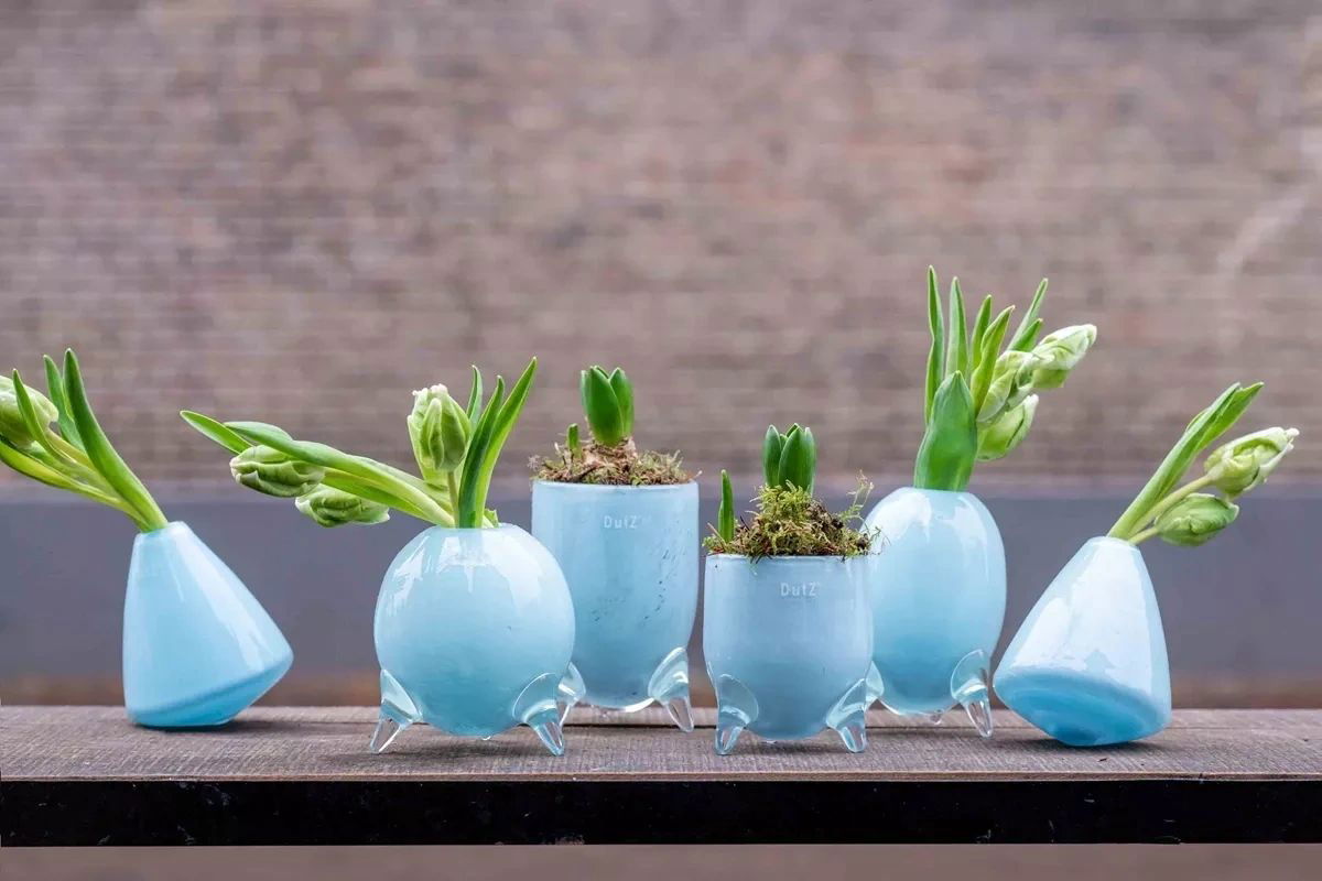 EVITA Mouthblown Glass Vases with Feet - Set of 4pcs - in Multiple Colours