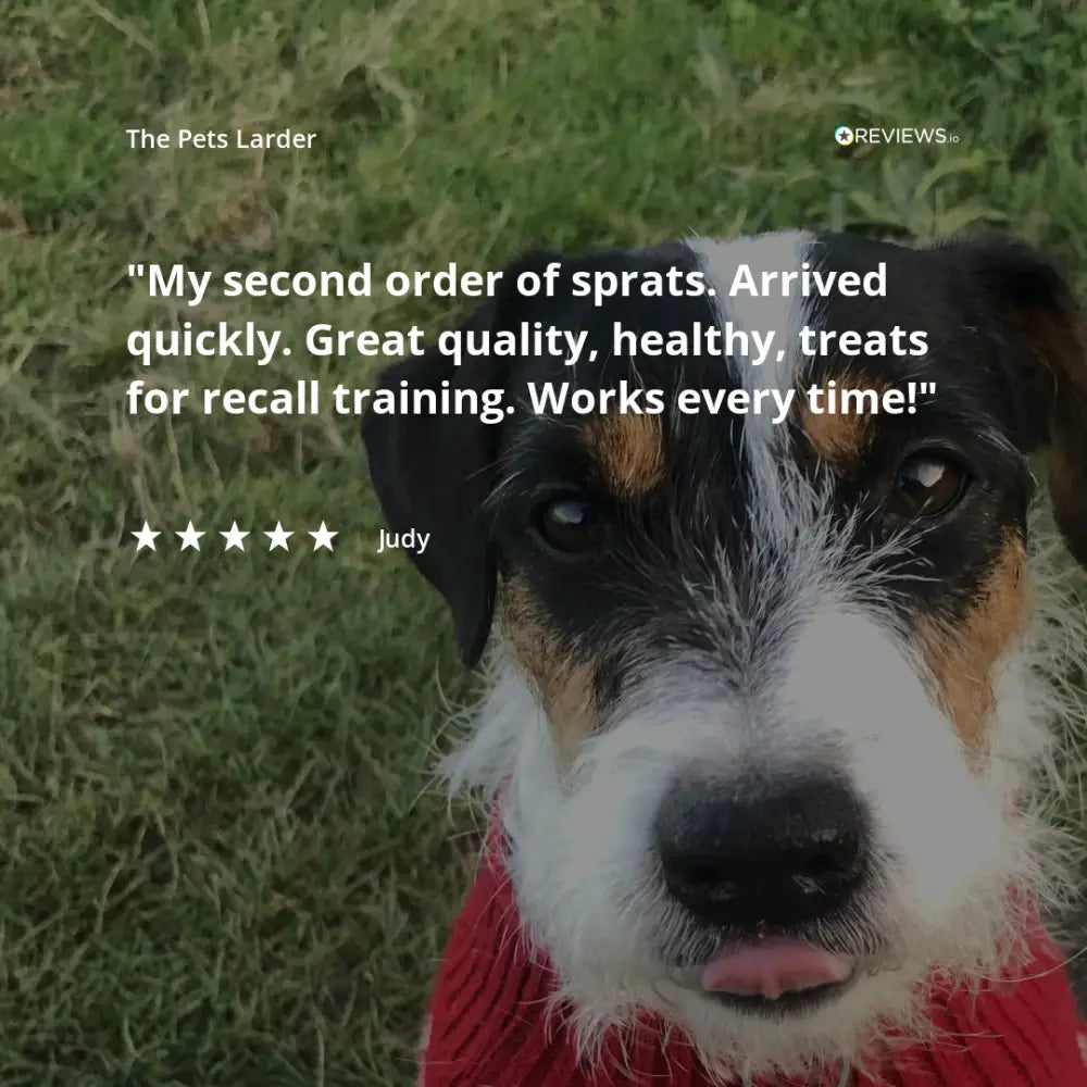 Venison Skin Natural Meat Chew For Dogs