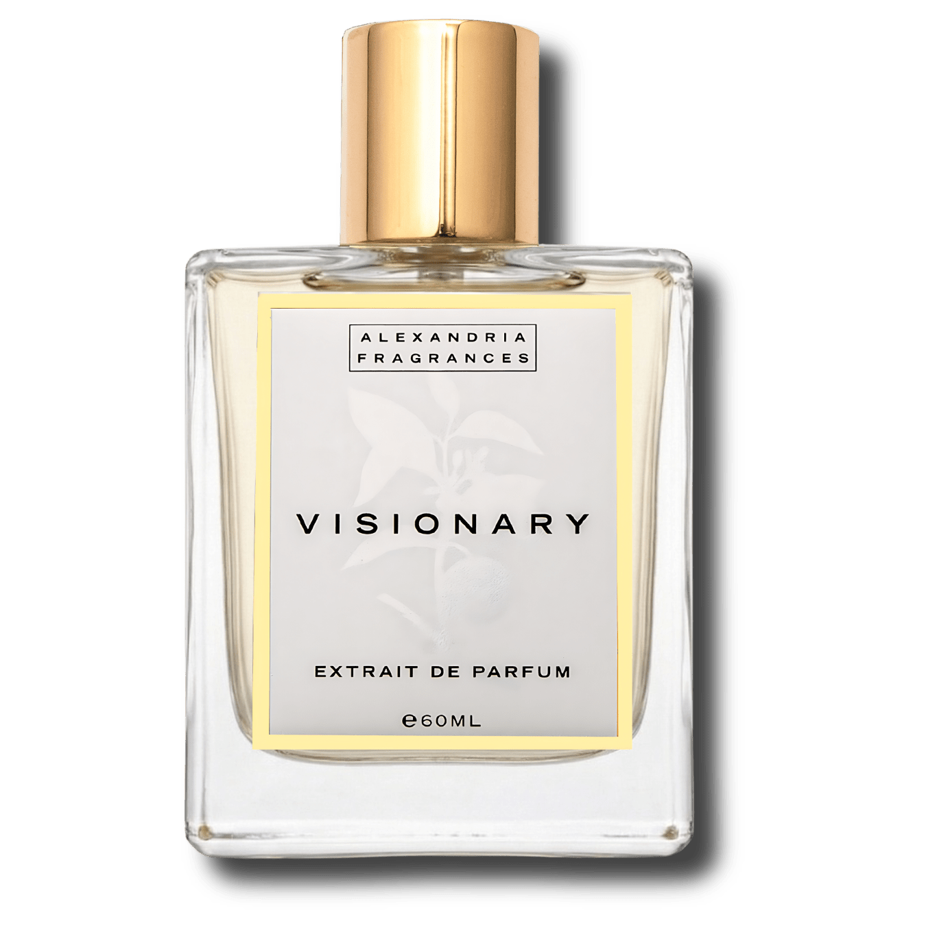 Visionary Inspired By Imagination LV Louis Vuitton