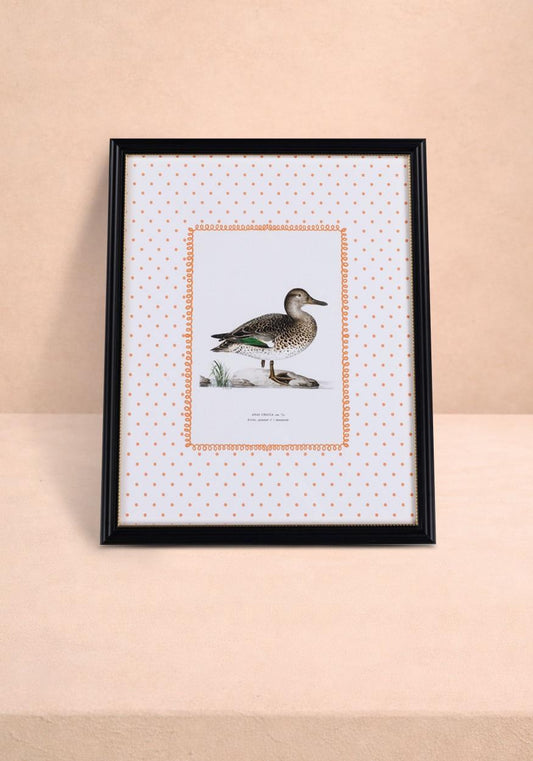Duck II Framed Print - Utterly Adorable Wall Art