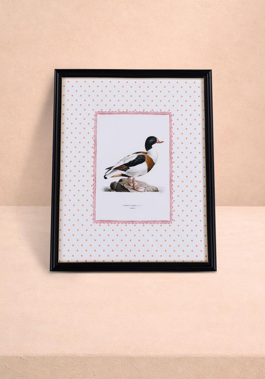 Duck IV Framed Print- The Prettiest By Far