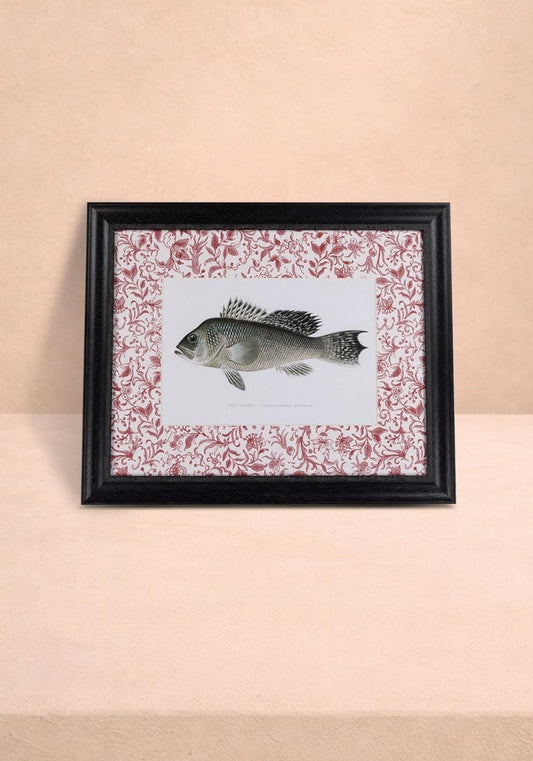 Fish III Framed Print Noble Vintage for the English Home