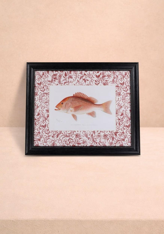 Fish Study I  Vintage Character for Every Corner