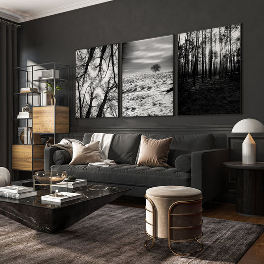 Wall Art for Grey Walls Living Room | Black & White Forest & Winter Landscape Photography Set of 3