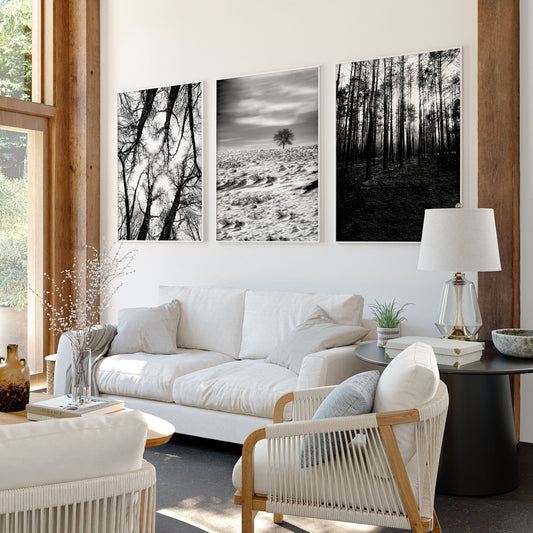 Wall Art for Grey Walls Living Room | Black & White Forest & Winter Landscape Photography Set of 3