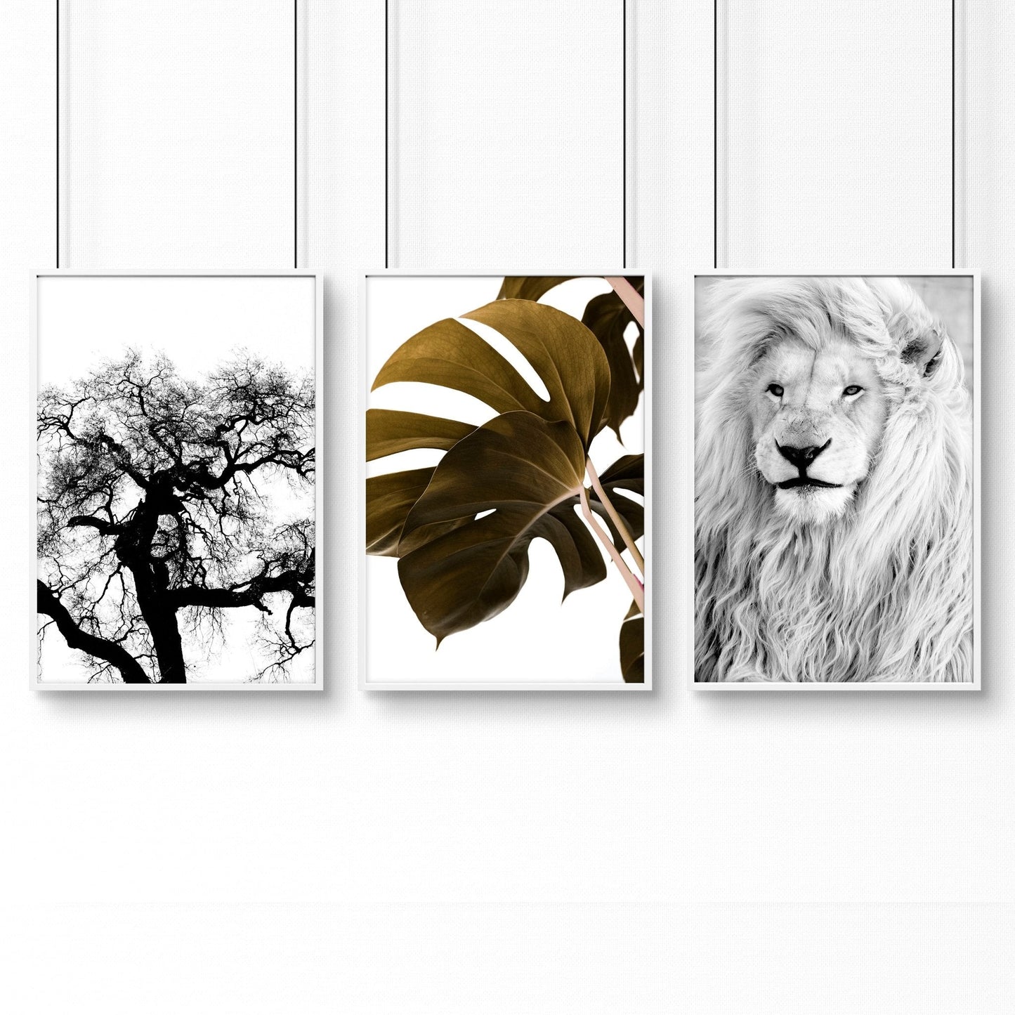 Wall Art Ideas For Living Room | Set of 3 African Wildlife Wall art Prints
