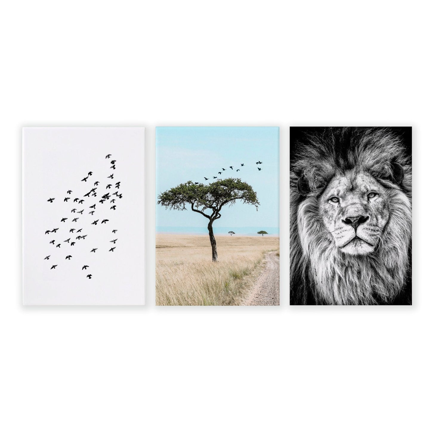 Wall Art Large Prints | Set of 3 African Wildlife Wall art Prints