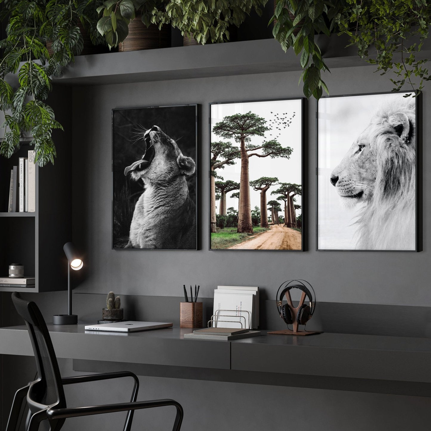 Wall Art Pictures Framed | Set of 3 African Wildlife Wall art Prints