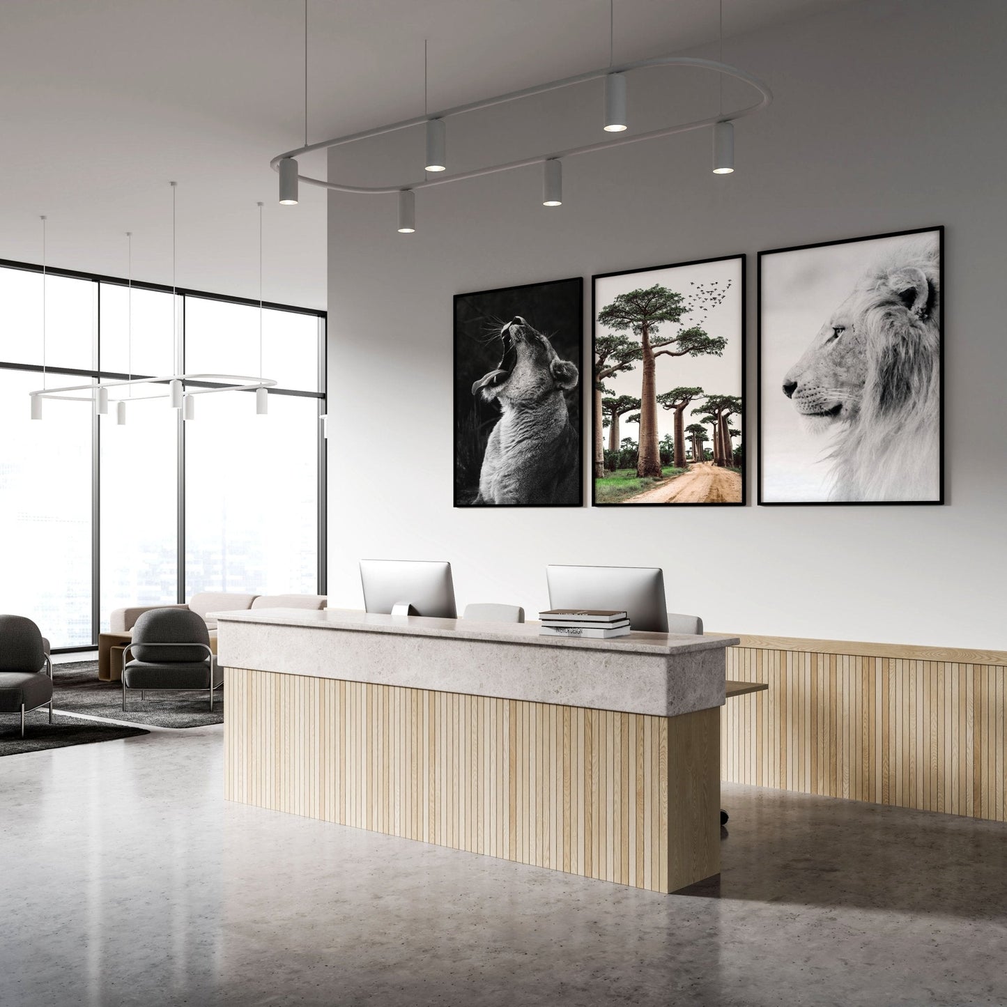 Wall Art Pictures Framed | Set of 3 African Wildlife Wall art Prints