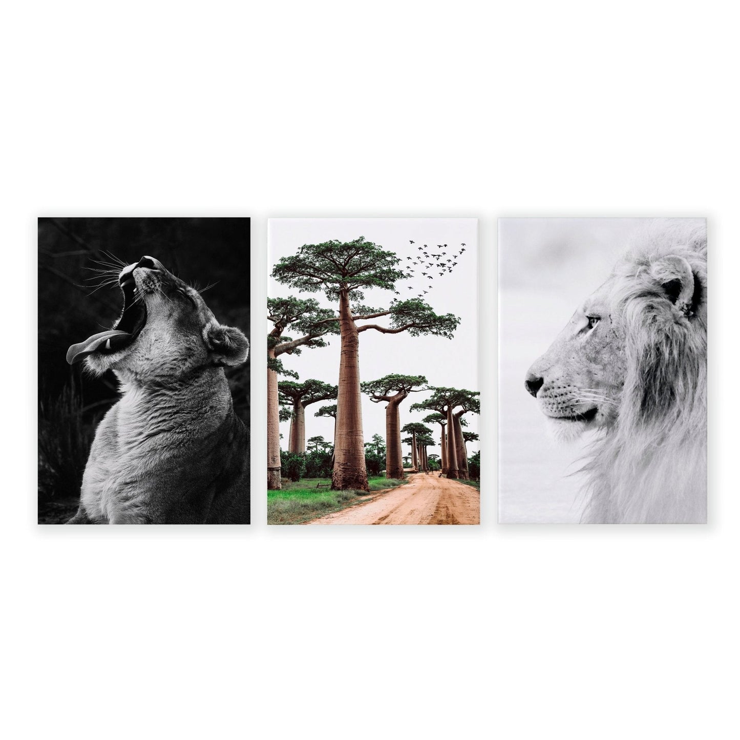 Wall Art Pictures Framed | Set of 3 African Wildlife Wall art Prints