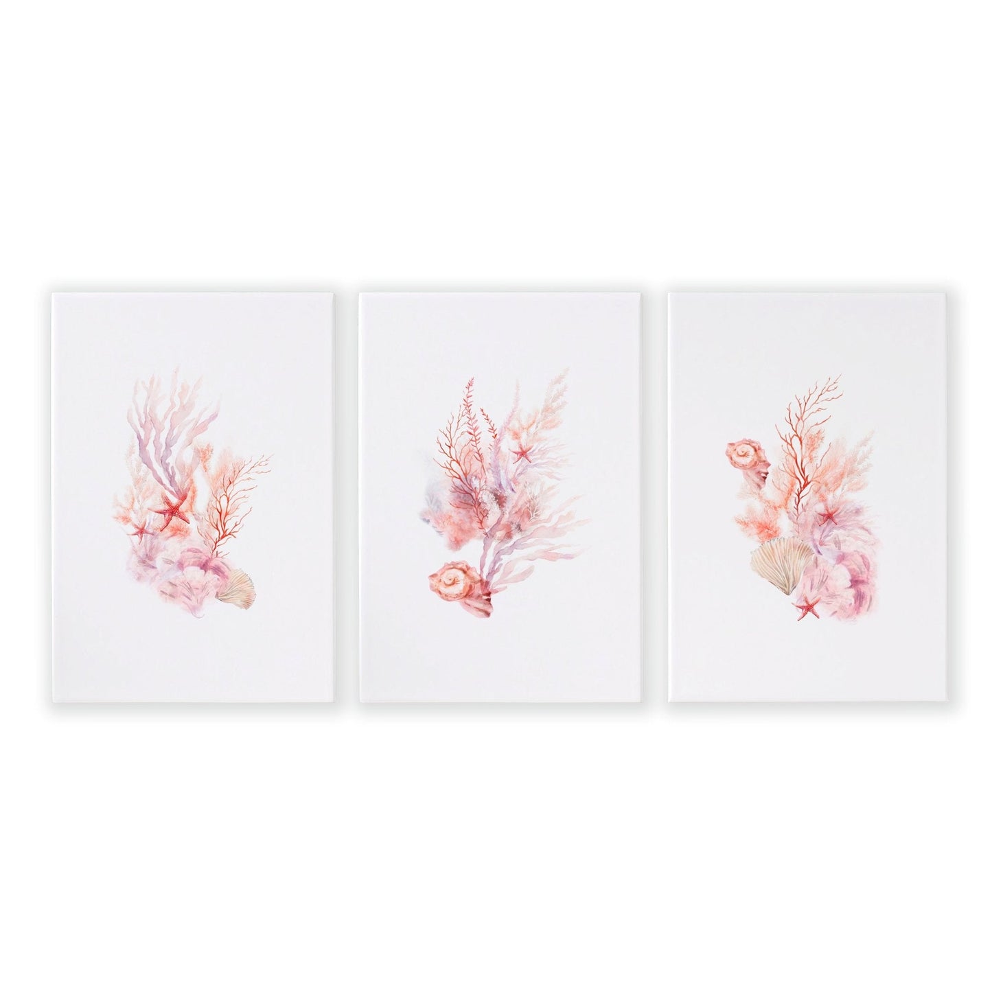 Wall Art Sea | Set of 3 Seashells Wall art Prints