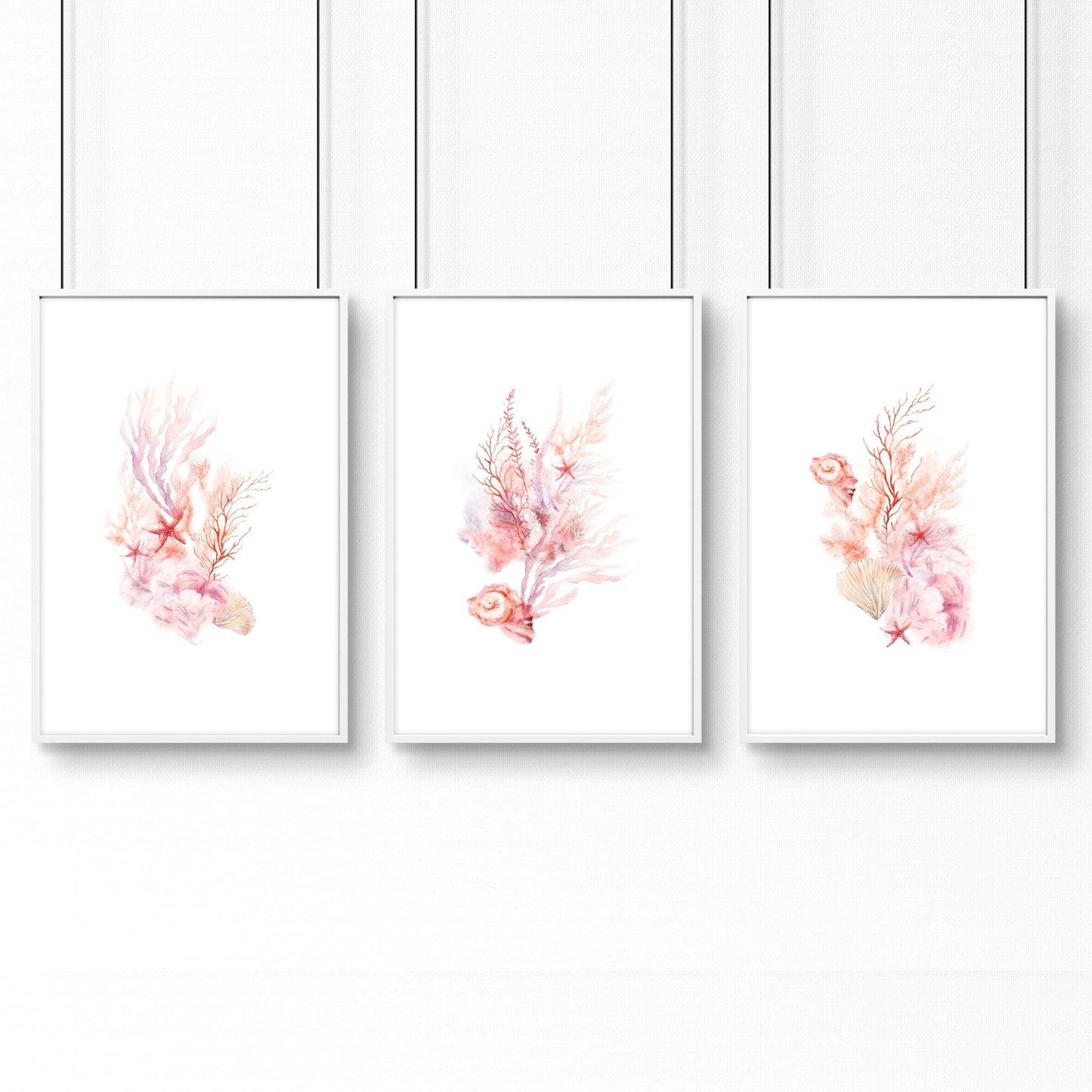 Wall Art Sea | Set of 3 Seashells Wall art Prints
