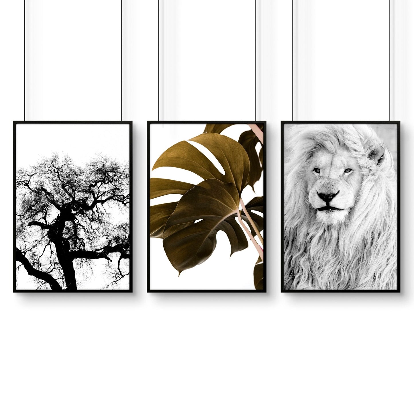 Wall Hanging Art | Set of 3 African Wildlife Wall art Prints