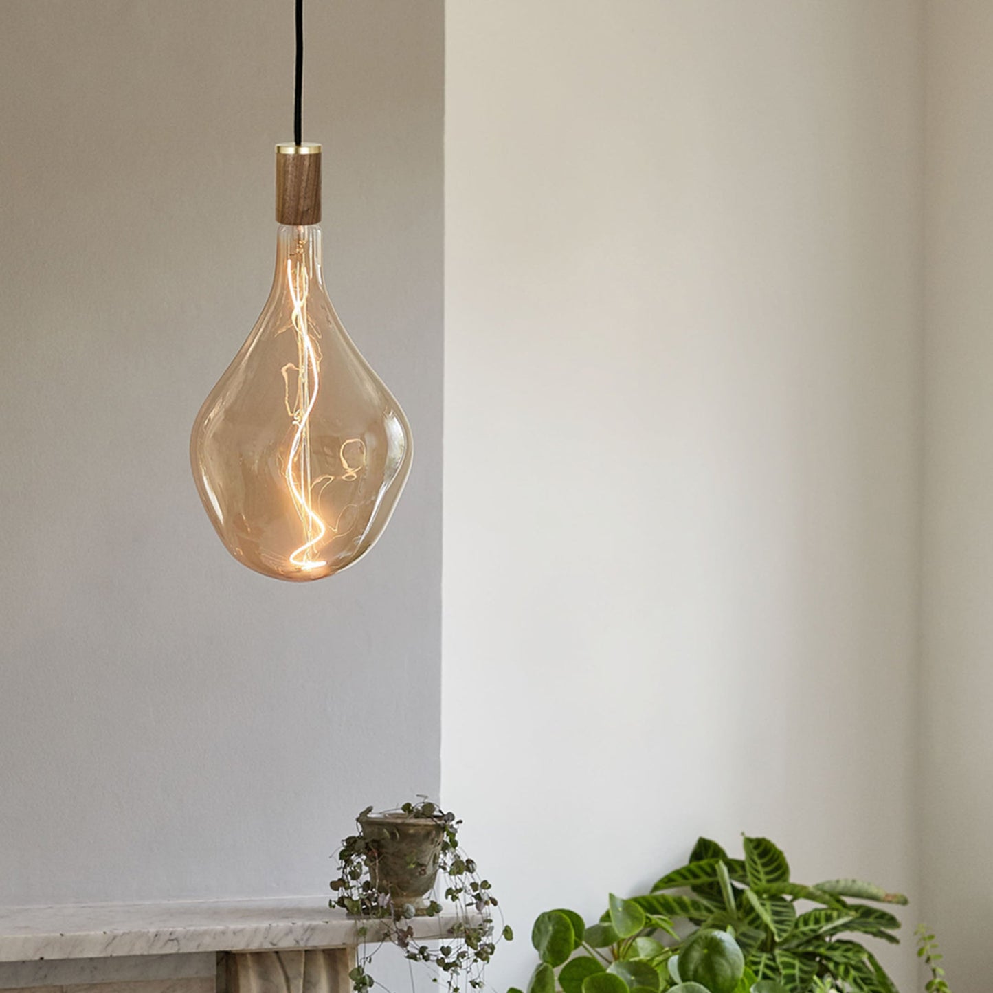Voronoi III Pendant Light in Walnut