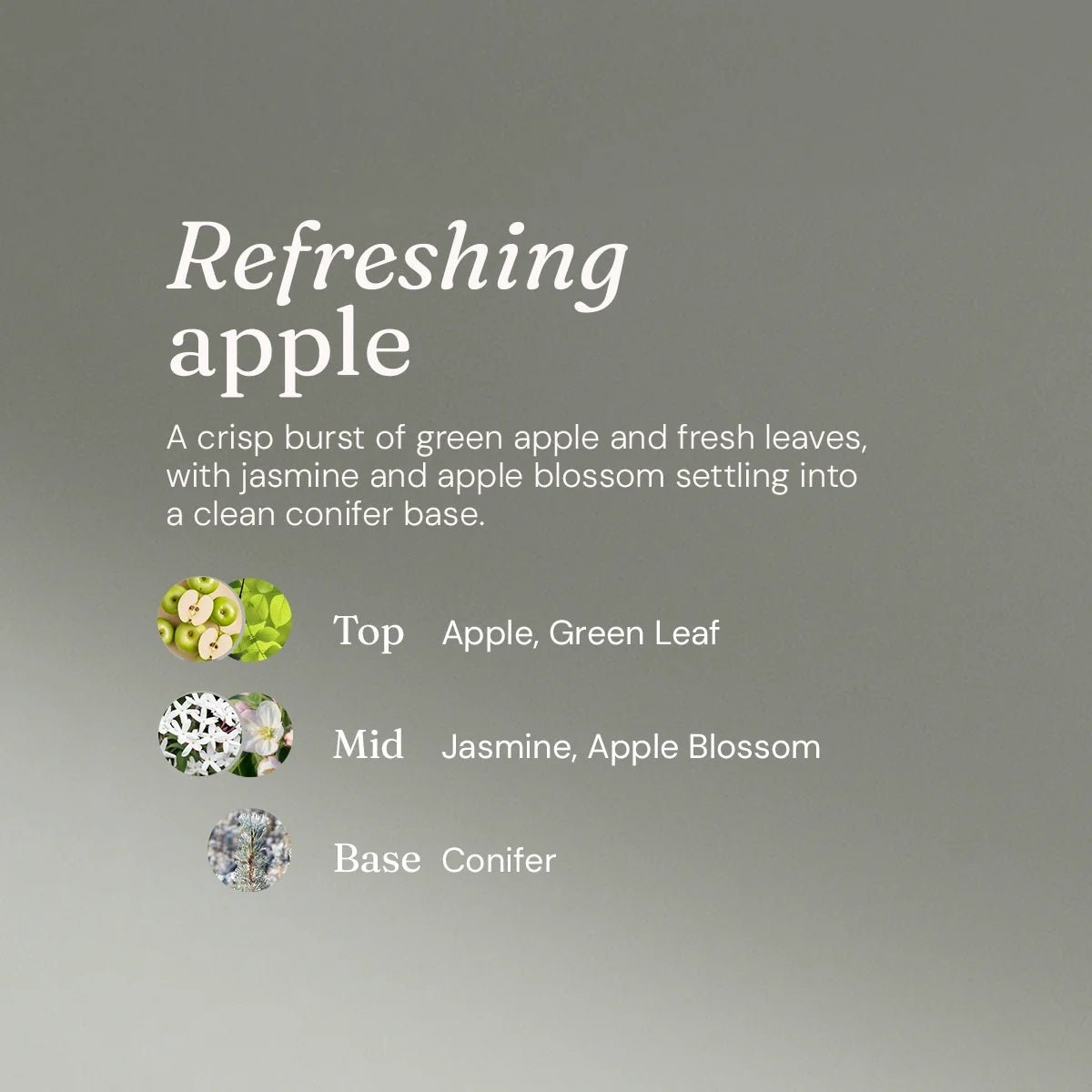 Refreshing Apple Washing Up Liquid – 5L Refill for Eco-Friendly Dishwashing