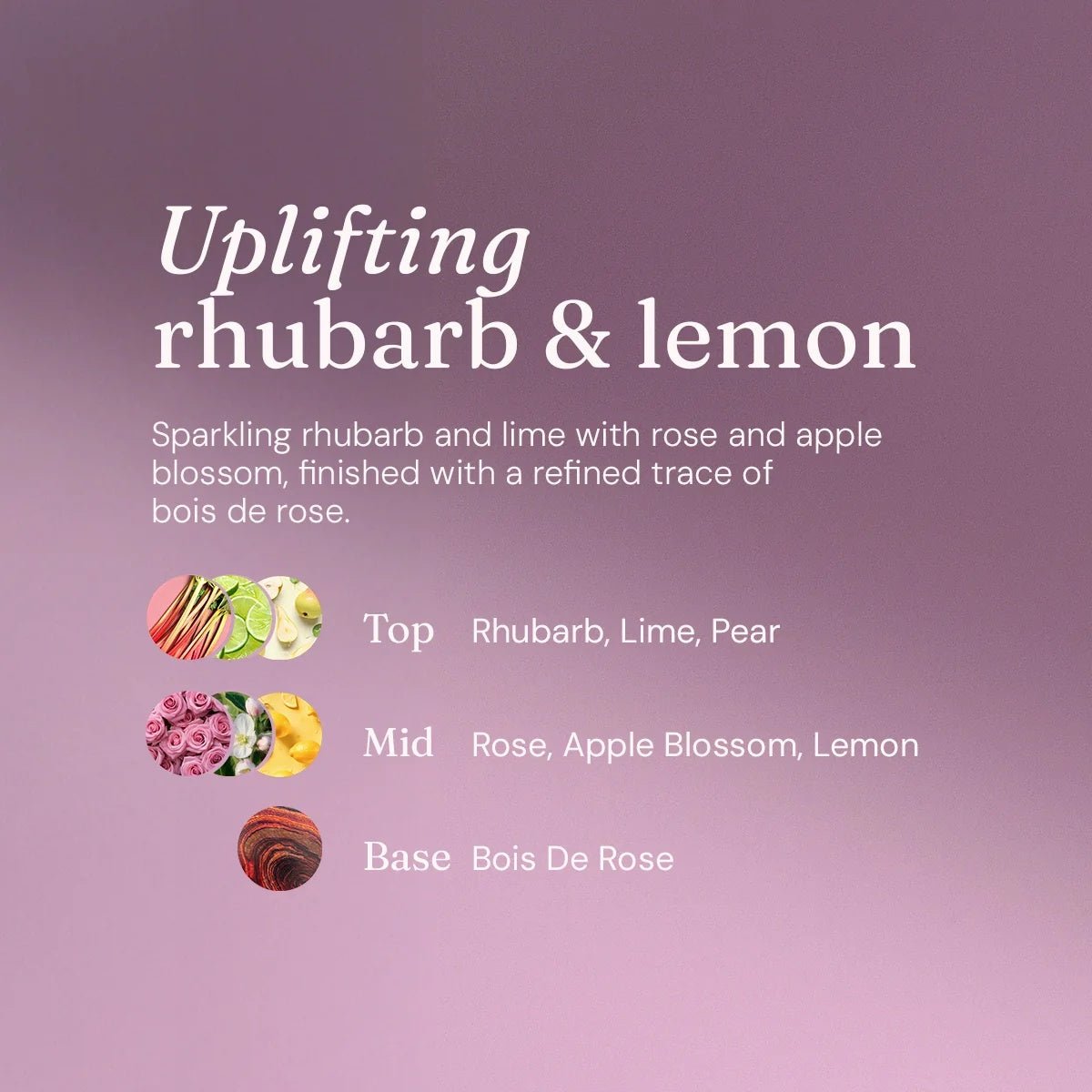 Uplifting Rhubarb & Lemon Washing Up Liquid – 5L Eco Refill
