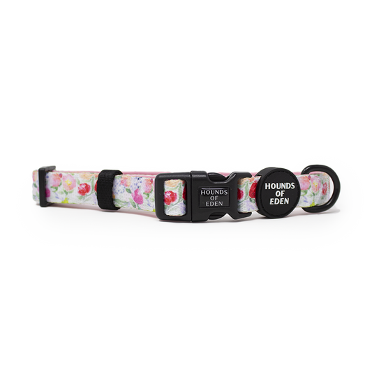 Ziggy's Secret Garden Design Dog Collar
