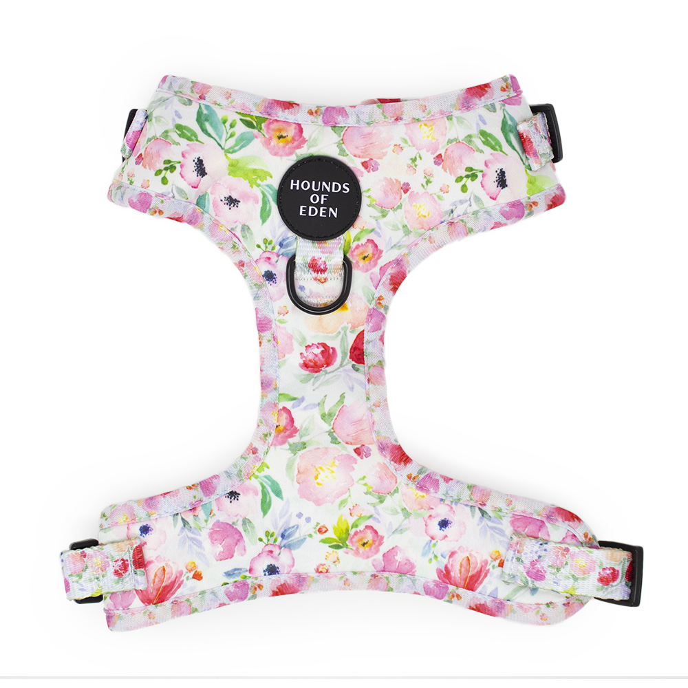Ziggy's Secret Garden Design Dog Harness